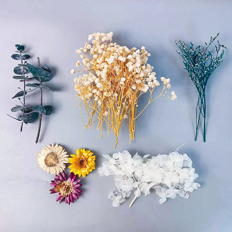 1 confezione di fiori secchi v - Craft Embellishment recensione e prezzo