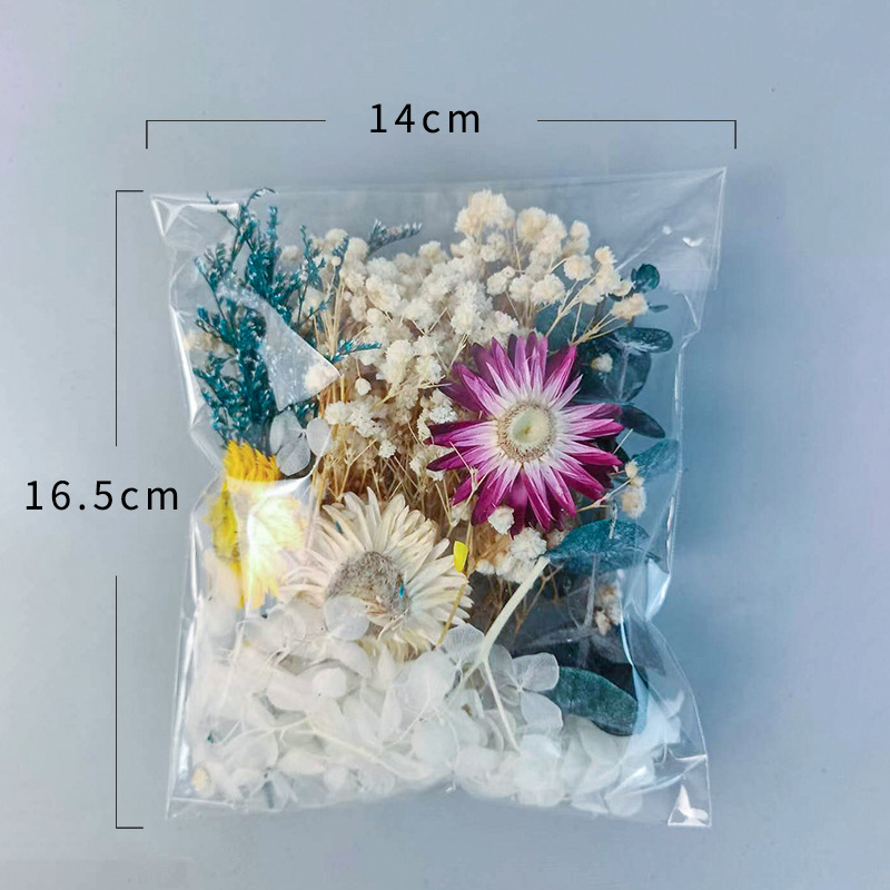 1 confezione di fiori secchi v - Craft Embellishment recensione e prezzo
