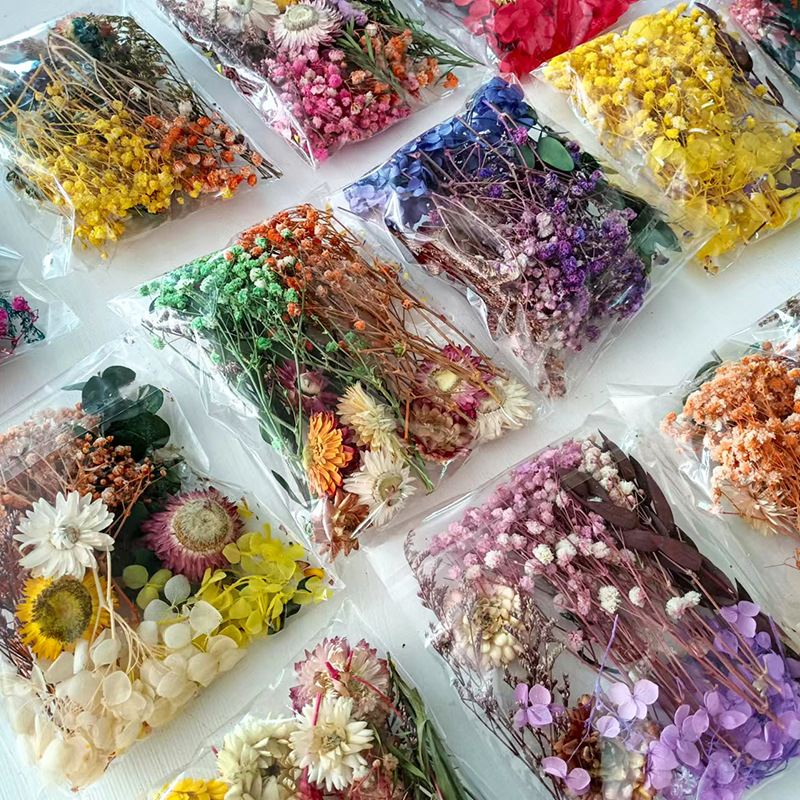 1 confezione di fiori secchi v - Craft Embellishment recensione e prezzo